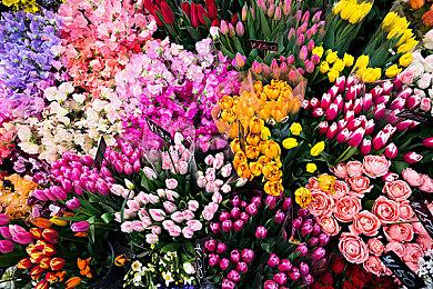 《时间旅者：重生曙光》已开发四年 受《生化4》启发